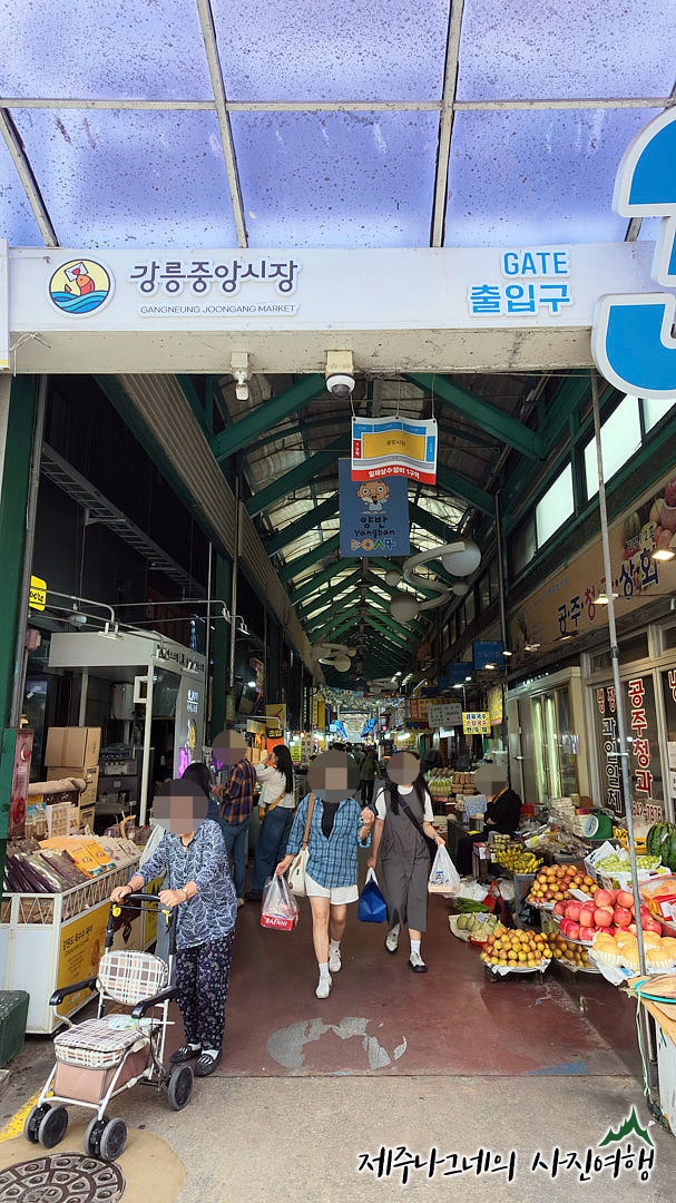 강릉 중앙시장 가볼만한곳 먹거리 포장으로 풍성했던 시간