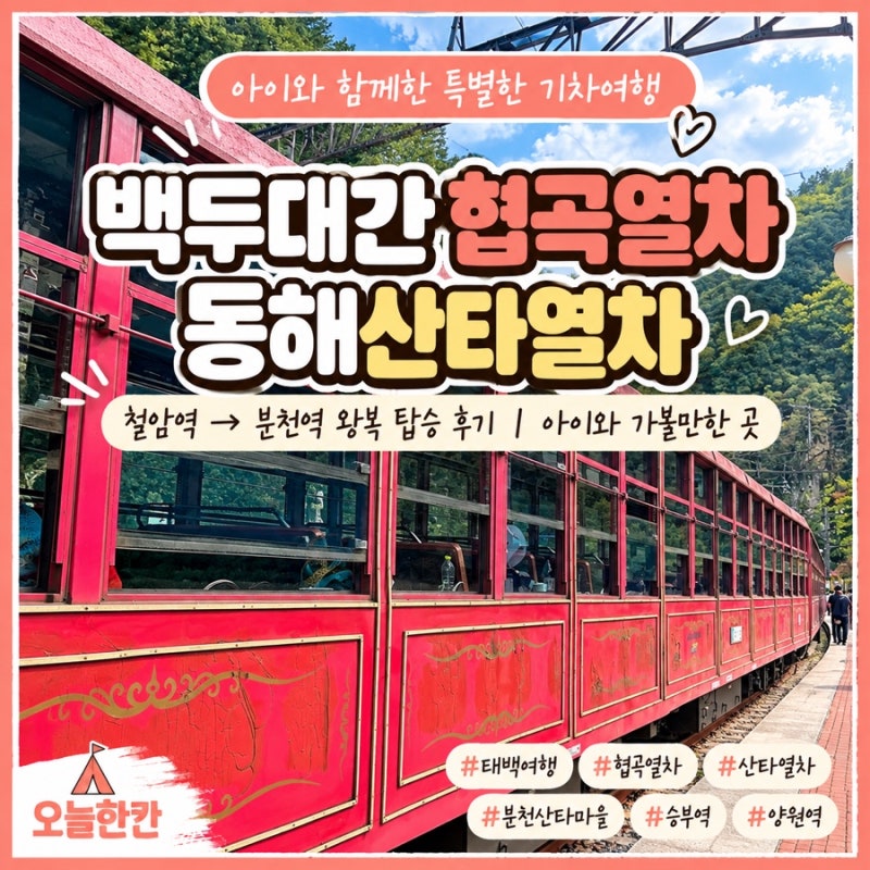 태백 아이와 가볼만한곳｜백두대간 협곡열차 V-train부터 동해산타열차까지 왕복 후기