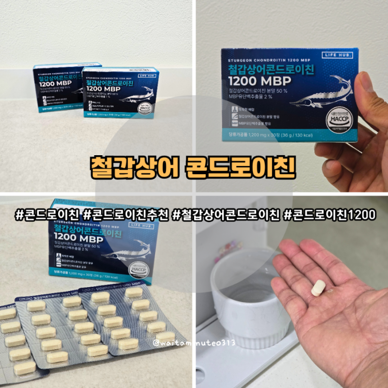 코리반 철갑상어 콘드로이친 추천 개별 포장으로 간편하게 챙기는 하루