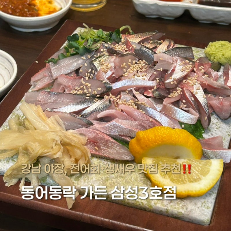 삼성역 야장 동어동락 가든 삼성 3호점 | 전어 맛집 생새우회 후기