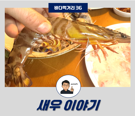 낚시꾼도 요리사도 반한 새우 완벽 정리! 민물부터 바다까지 한눈에