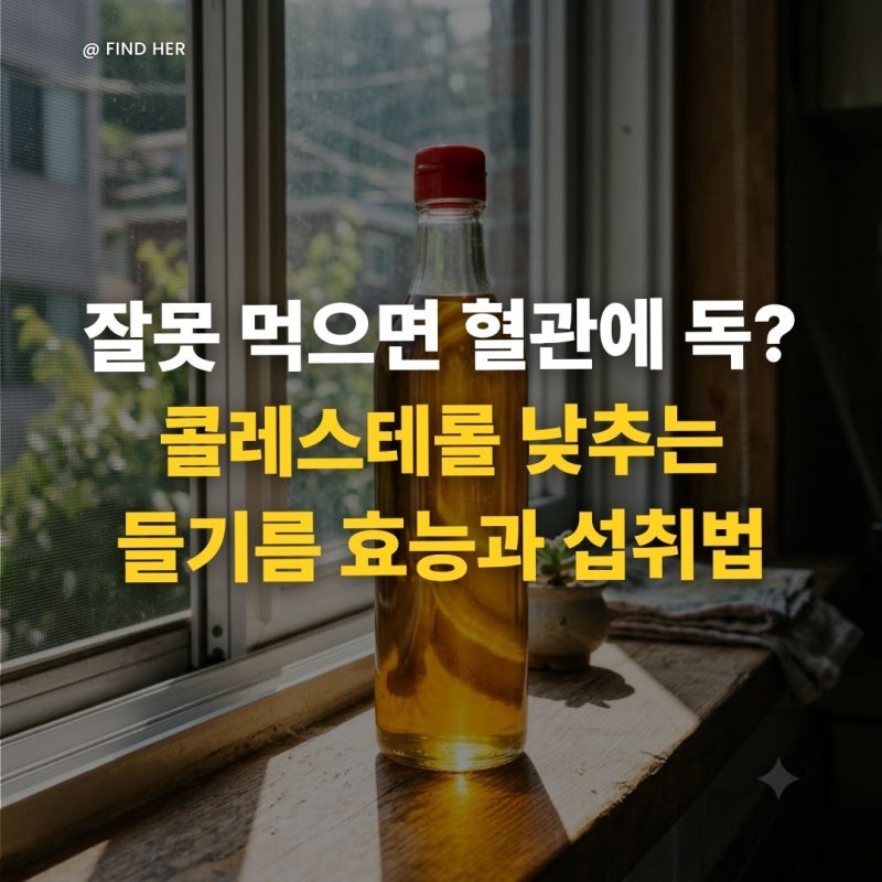 "잘못 먹으면 혈관에 독?" 콜레스테롤 낮추는 들기름 효능과 섭취법