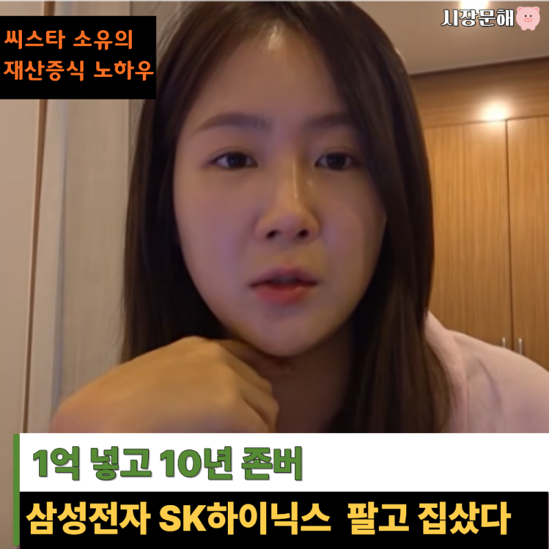 “1억 넣고 10년 존버” 씨스타 소유 삼성전자 SK하이닉스 주식으로 집 샀다