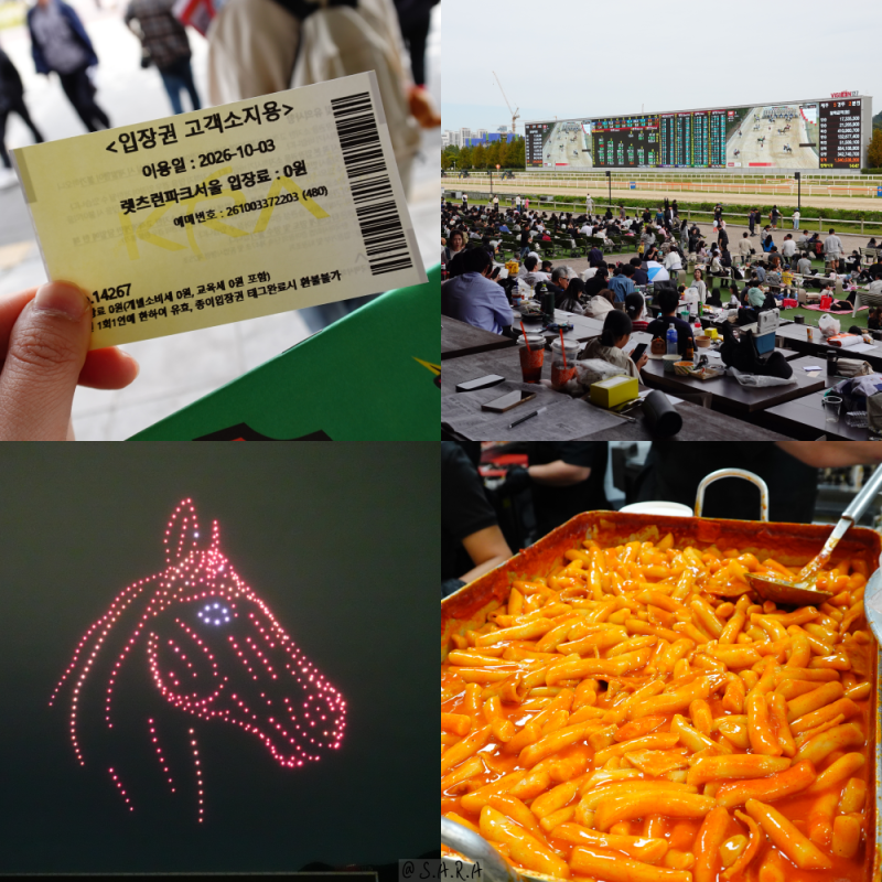 렛츠런파크 서울 과천 경마장 경마공원 가을 축제 입장료 무료