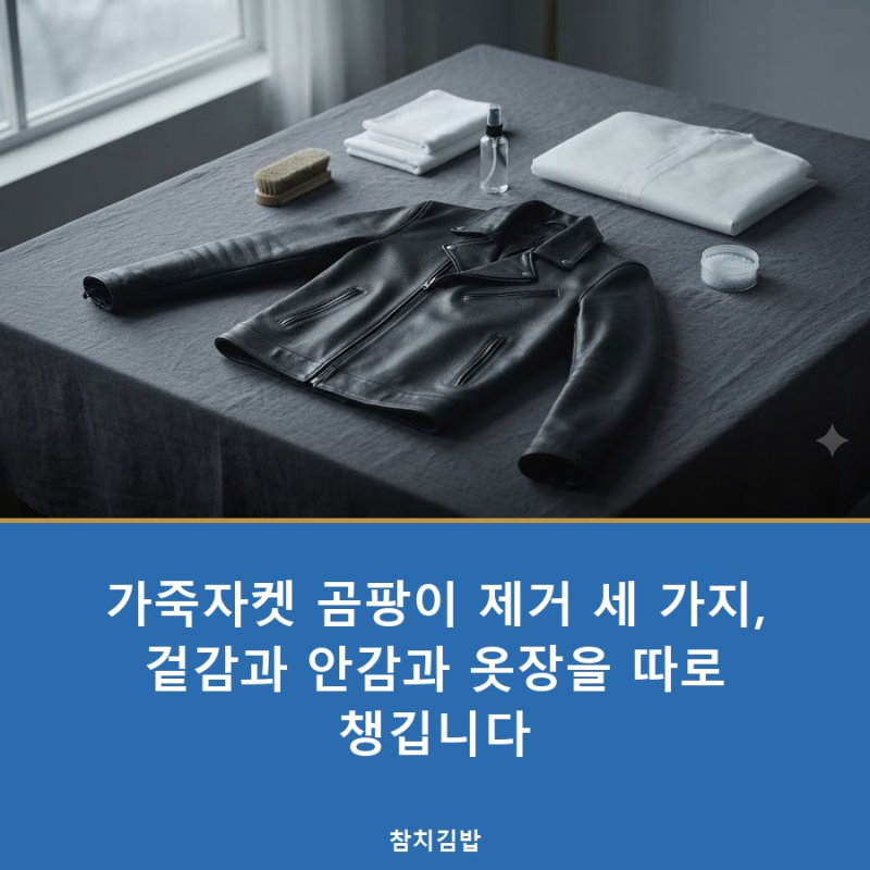 가죽자켓 곰팡이 제거 세 가지, 겉감과 안감과 옷장을 따로 챙깁니다