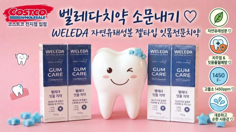 [벨레다]자연유래성분 젤타입 잇몸 전문치약!!코스트코 전지점입점!!10/11일까지 할인중!!
