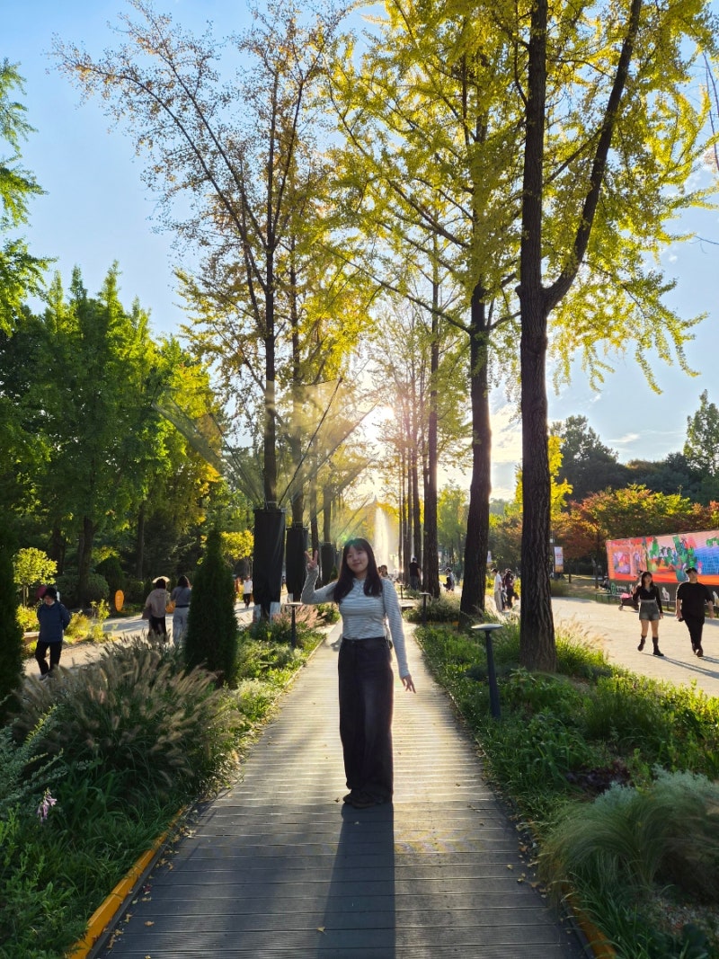 가을 나들이 가볼만한곳 서울 어린이 대공원 동물원 및 놀이공원 방문 기록