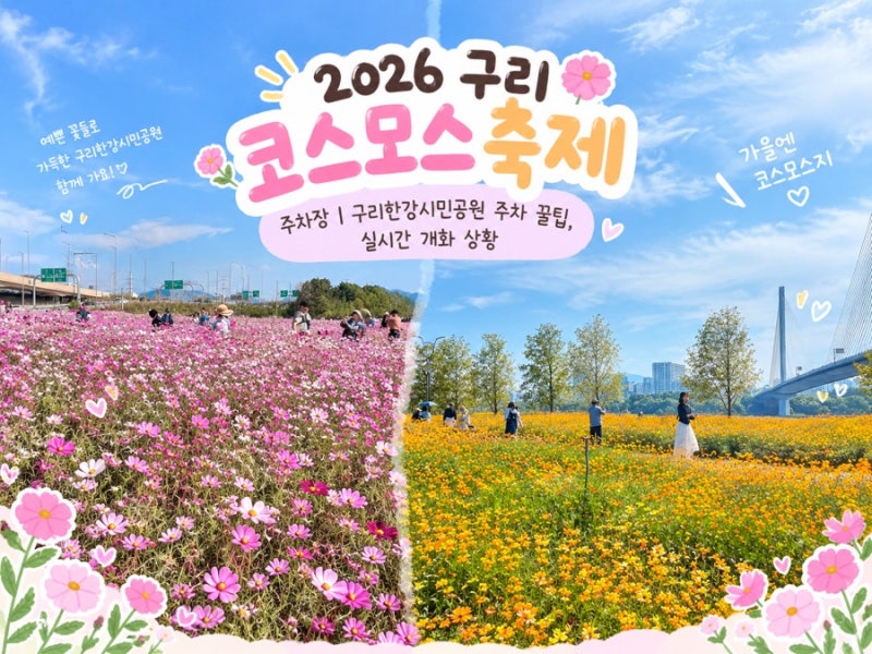 2026 구리 코스모스 축제 주차장 | 구리한강시민공원 주차 꿀팁, 실시간 개화 상황(10/9방문)