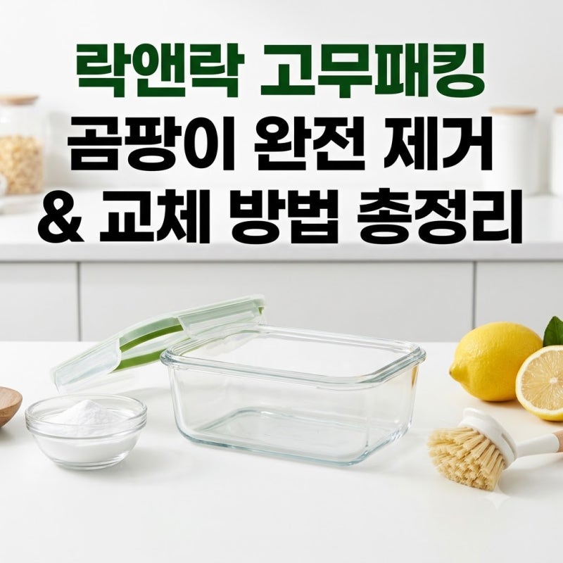 락앤락 밀폐용기 고무패킹 락앤락 고무패킹 곰팡이 싹! 청소 & 교체 꿀팁