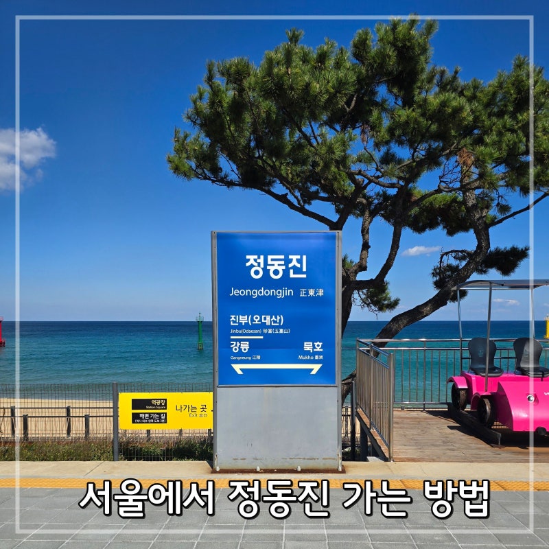 서울에서 정동진 가는 법 : KTX 자유석, 강릉역 누리로 총정리
