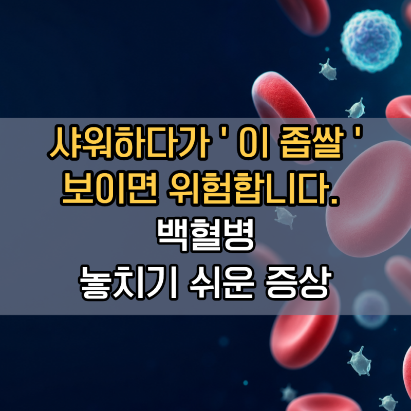 "샤워하다가 '이 좁쌀' 보이면 위험합니다" 놓치기 쉬운 백혈병증상 | 점상출혈 유리컵테스트....