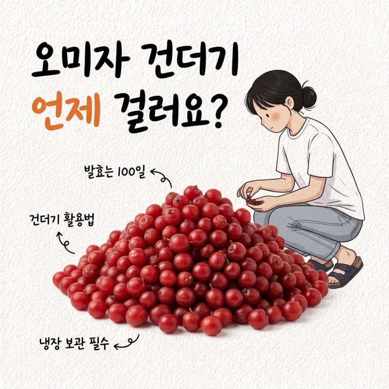 "오미자청은 100일이 지나서 걸러요" 오미자청 거르는 시기 보관 비율 오미자 건더기