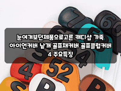 눈여겨보던제품으로고른 캐디샵 가죽 아이언커버 낱개 골프채커버 골프클럽커버 4 주요특징