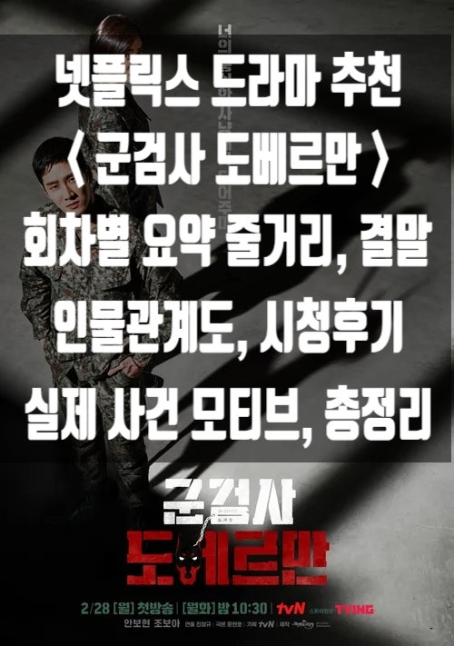 넷플릭스 드라마 추천▶회차별 요약 줄거리·결말·인물관계도·실제사건....