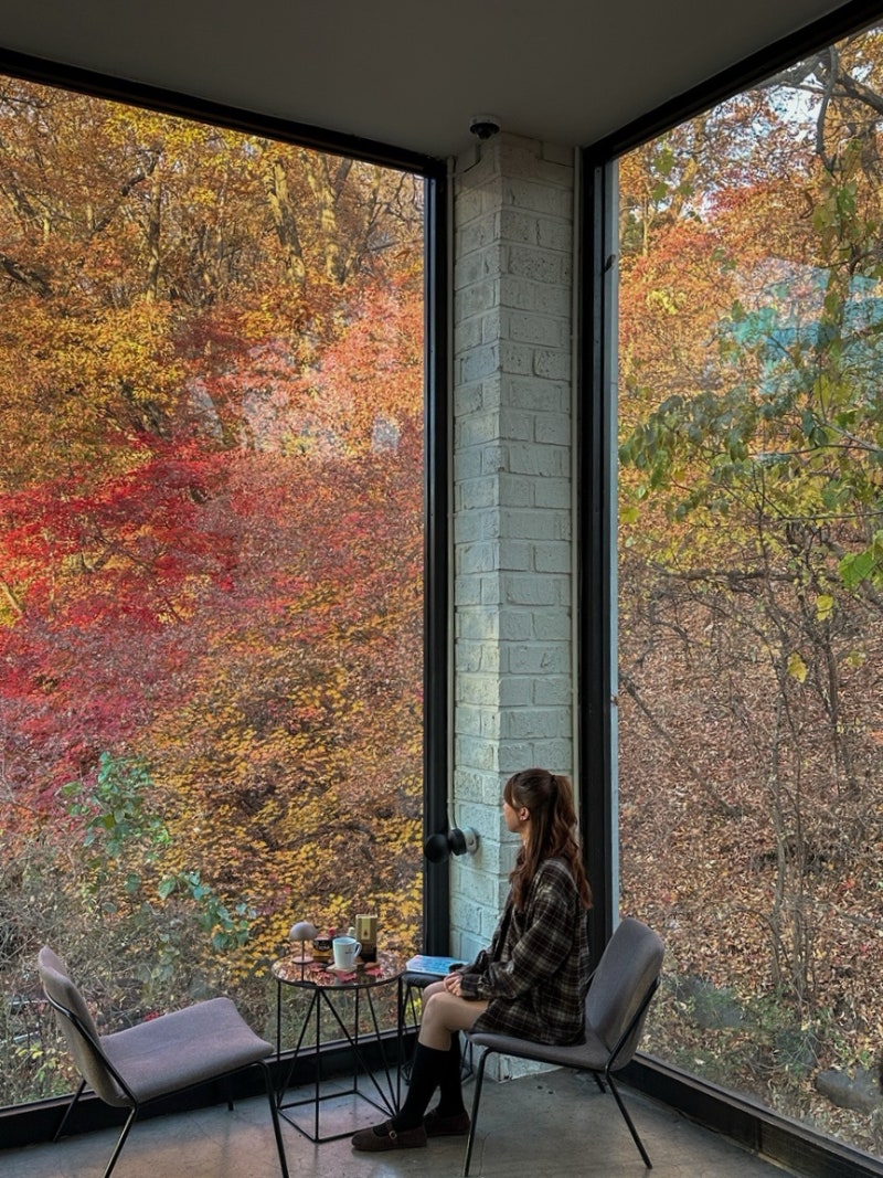 경기도 광주 화담숲 근처 통창 숲뷰 대형카페 스멜츠 서울근교 가을 단풍카페 추천 11월 방문....