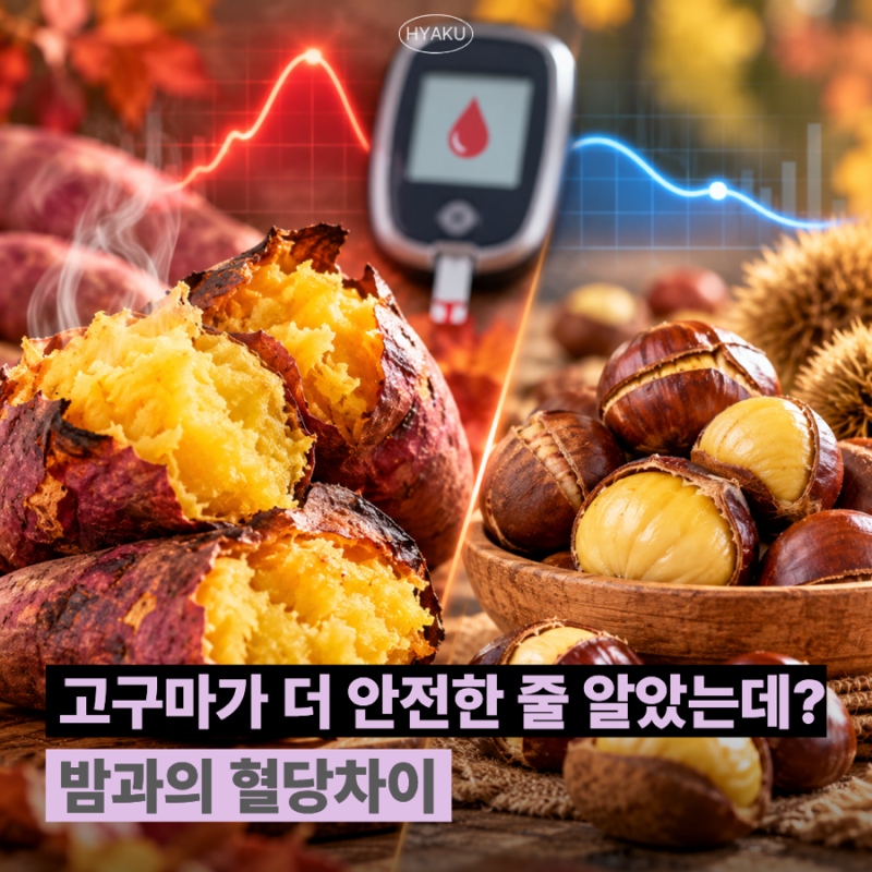 "고구마 vs 밤, 혈당 걱정된다면?" 10월 제철음식 중 어떤 차이가 있을까