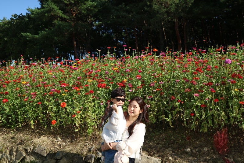 칠곡 가산수피아 공룡 박사가 키즈카페에 빠진 날