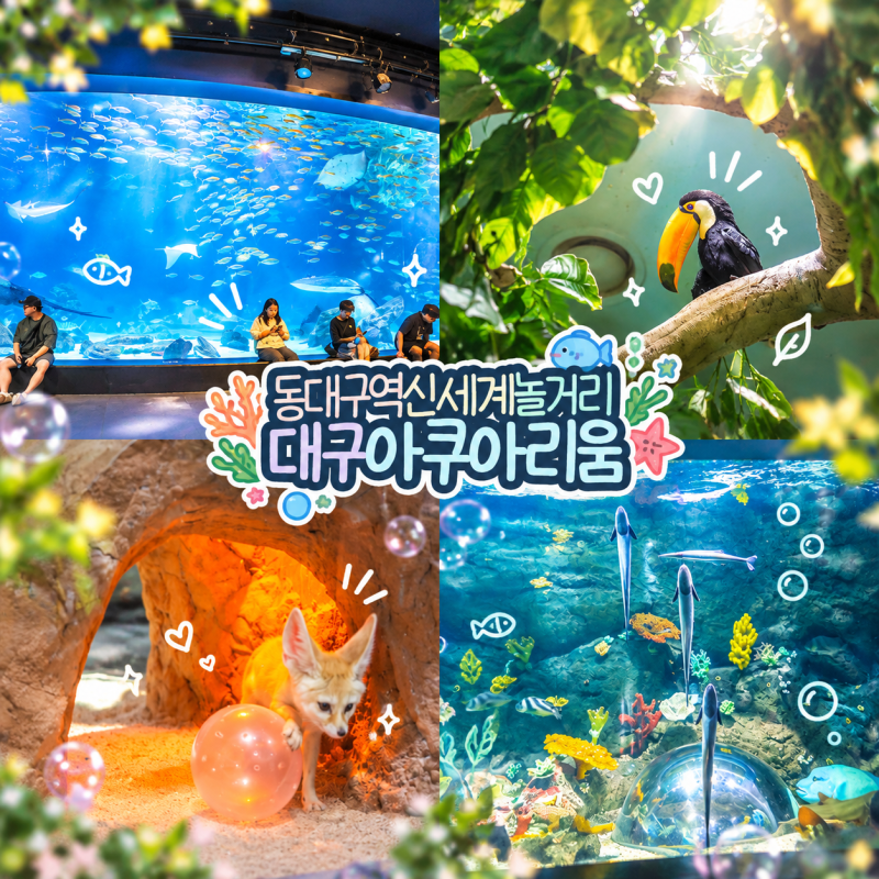 대구 실내 놀거리 동대구역 신세계백화점 아쿠아리움 데이트