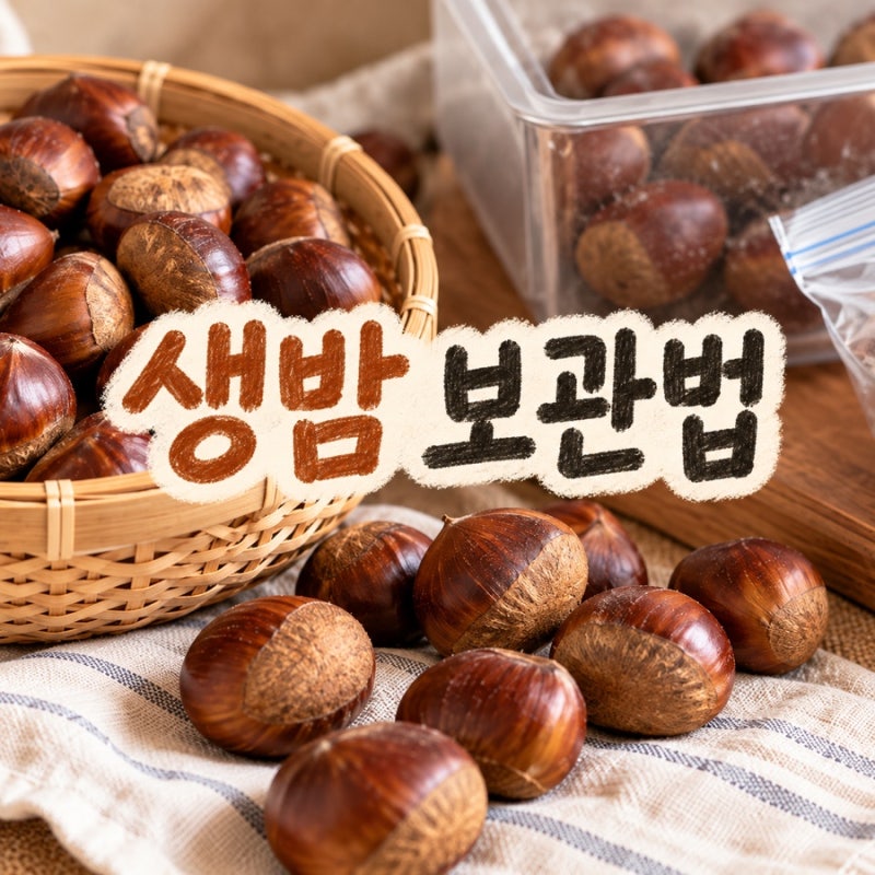 생밤 보관법 총정리｜냉장·냉동 보관기간과 껍질째 보관하는 방법