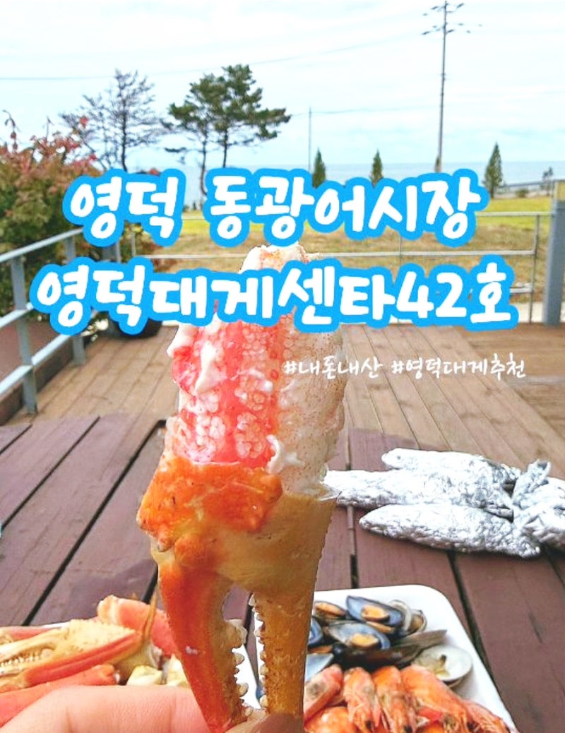 영덕 동광어시장 영덕대게센타42호 내돈내산 가격 포장