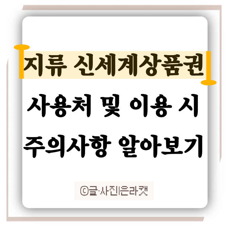 지류 신세계상품권 사용처 및 이용 시 주의사항 알아보기 - 오프라인 사용처 / 신세계몰 앱에....