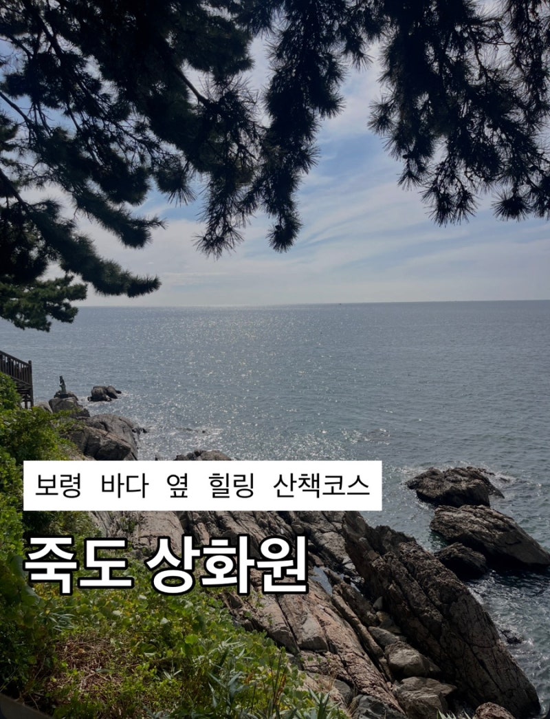 충남 보령 가볼만한곳 죽도 상화원 바다산책길 한국식정원