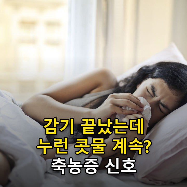 축농증 증상, 감기와 구분하는 기준과 누런 콧물·얼굴 통증이 오래갈 때