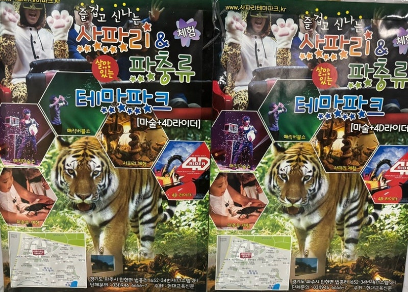 파주 아이와 가볼만한곳 헤이리 사파리체험테마파크 마술쇼 버블쇼