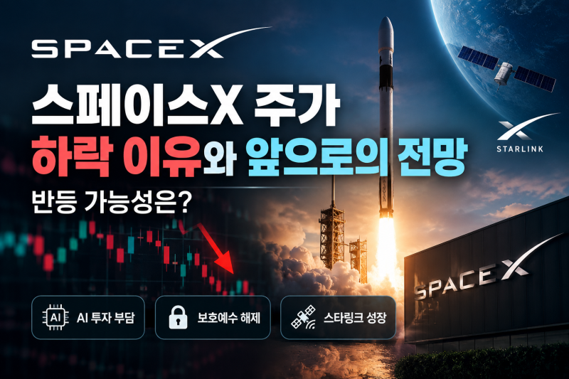 스페이스X 주가 하락 이유와 앞으로의 전망, 반등 가능성은?