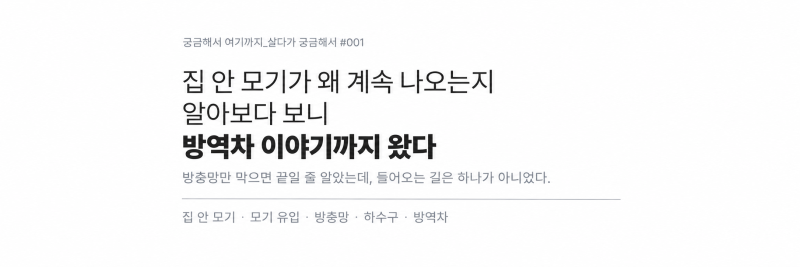 방충망을 고쳐도 집 안 모기가 계속 나오는 이유, 대체 어디서 들어올까?
