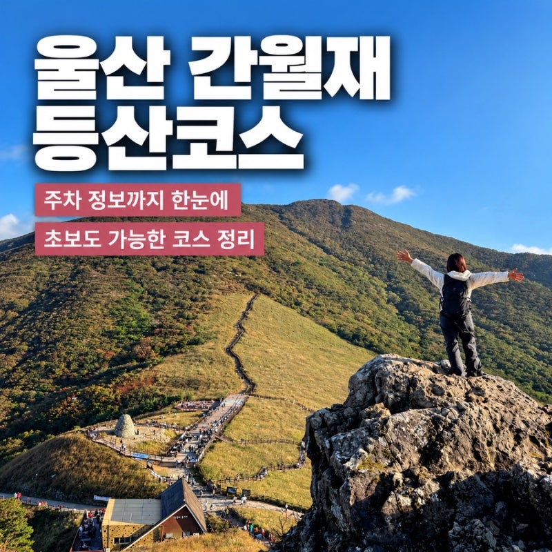 울산 간월재 등산코스 이대로만 가면 됨, 주차부터 정상까지 2시간만에 편하게 ! (사슴농장코....