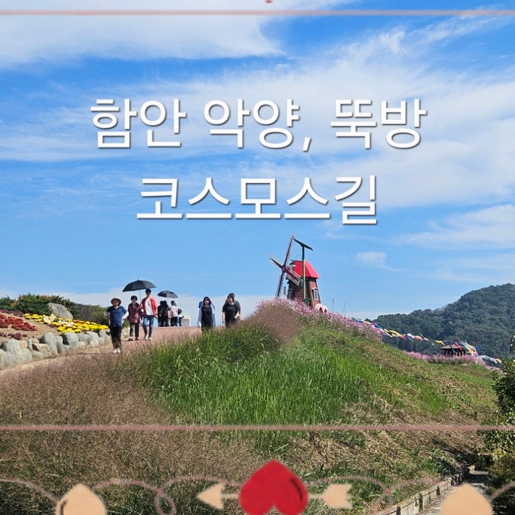 [경남 가볼만한곳] 가을 정취 가득한 함안 악양둑방길: 코스모스길 산책
