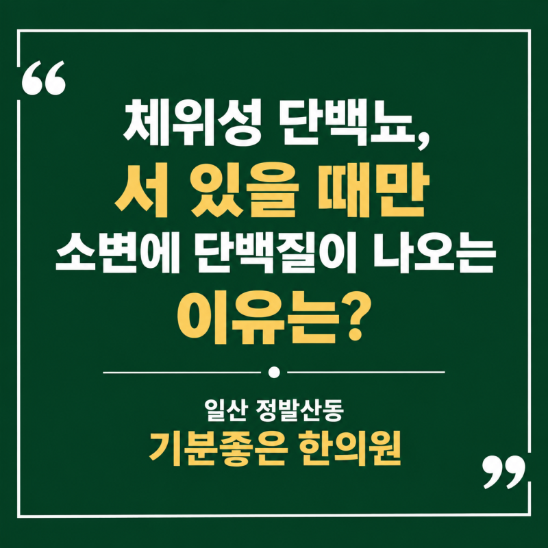 일산 체위성 단백뇨 한의원, 서 있을 때만 소변에 단백질이 나오는 이유는?
