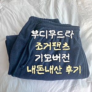 부디무드라 조거팬츠 내돈내산｜Diagonal jogger pants 기모 버전 매장에서 직접 보고 구매한 후기