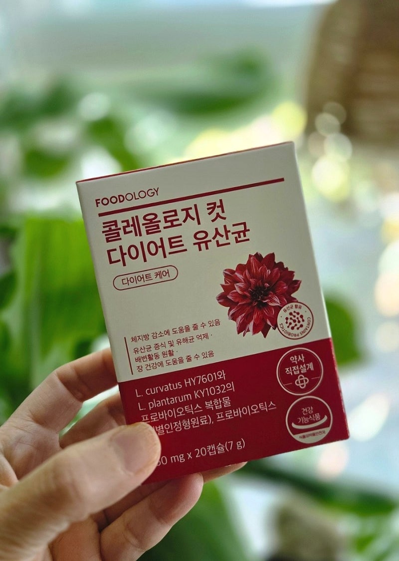 장건강까지 챙기는 콜레올로지컷 다이어트 유산균 솔직 후기!