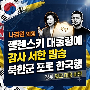 나경원 의원이 젤렌스키 우크라이나 대통령에게 보낸 서한, 왜? 대정부 비판 쟁점