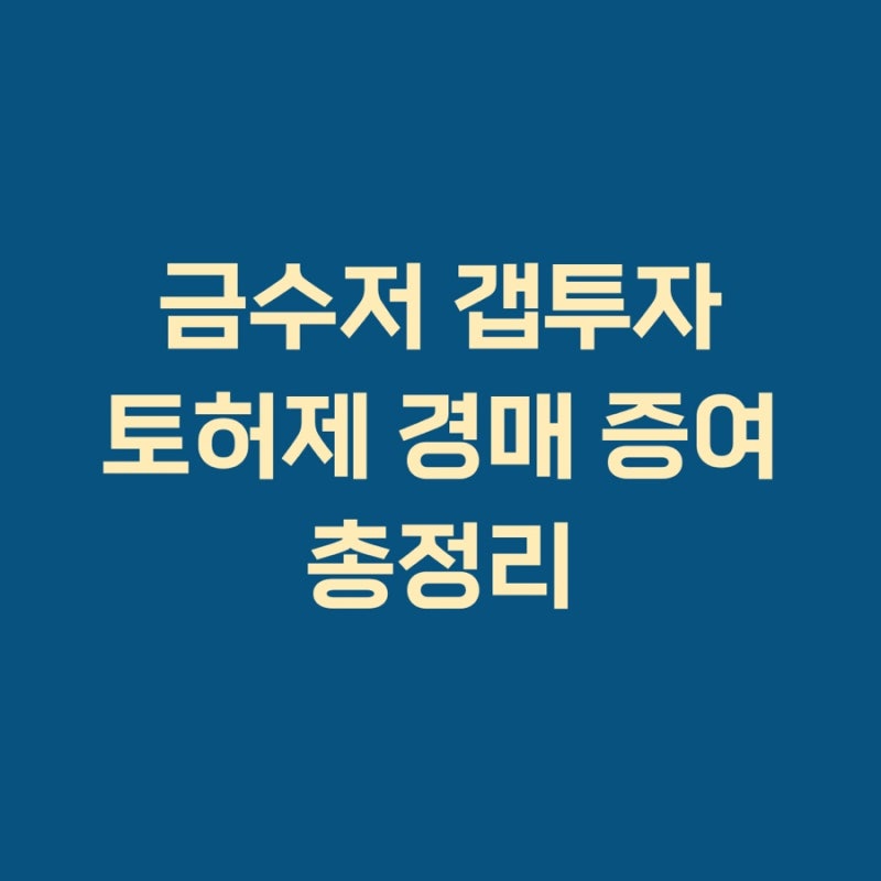 10대 갭투자 증가 2026 | 미성년자 주택 매수, 토허제·경매·증여 구조 총정리