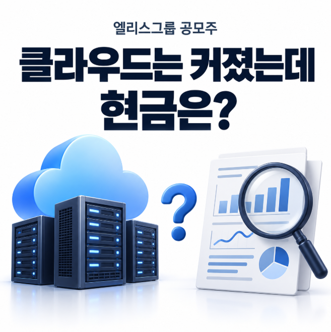엘리스그룹 공모주, 클라우드는 커졌는데 현금은?