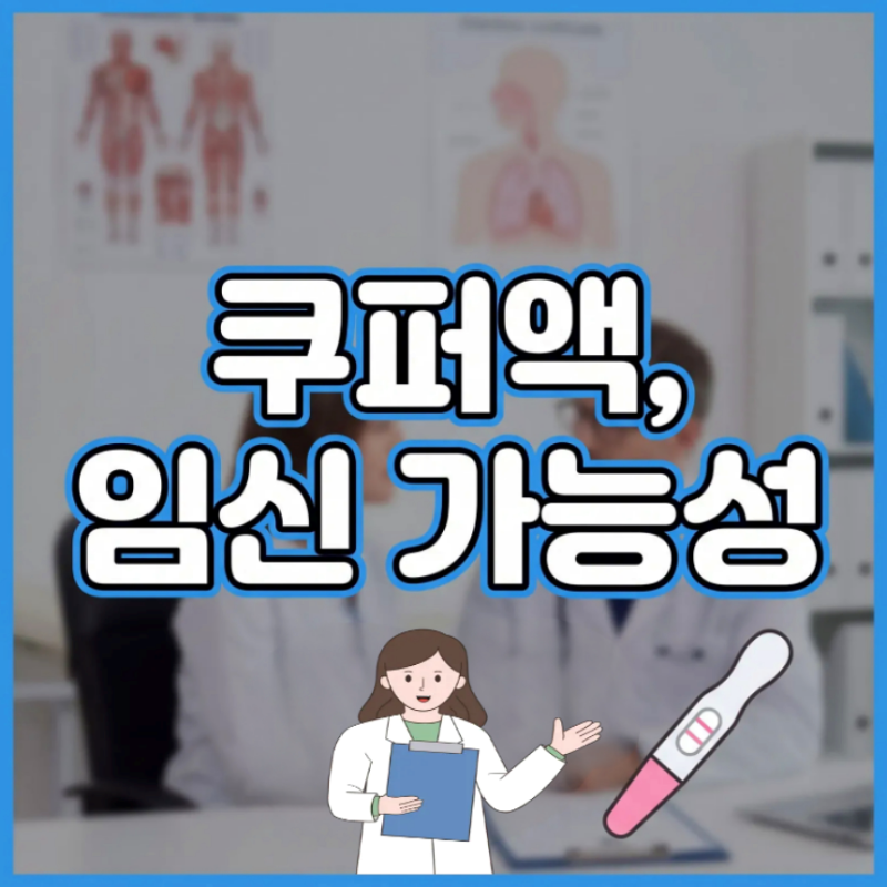 쿠퍼액 정자수 생리 후 임신 가능성 알아봐요
