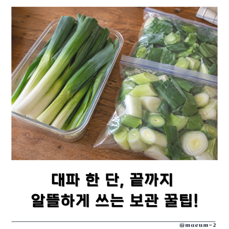 대파 보관법, 실온에 둬도 될까? 냉동보관법과 소분 꿀팁