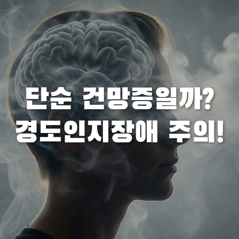 건망증 치매 차이, 경도인지장애 증상 놓치면 안 되는 이유