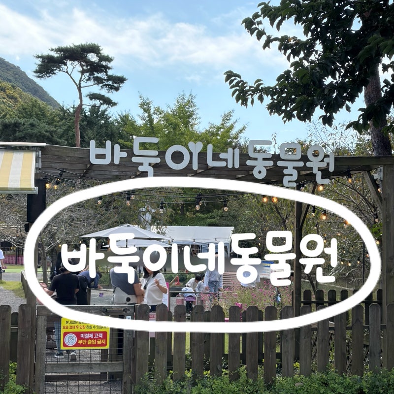 보령 가볼만한곳 | 두돌 아기와 함께 동물들을 볼 수 있는 바둑이네 동물원 : 먹이주기 체험, ....