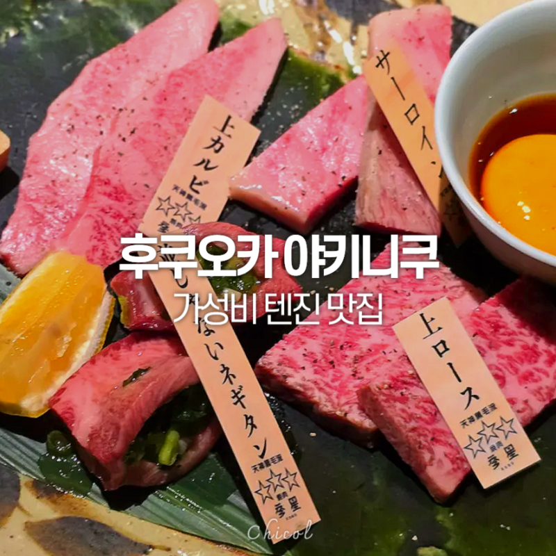 후쿠오카 맛집 추천 가성비 텐진 야키니쿠 와규 혼밥 야끼니꾸