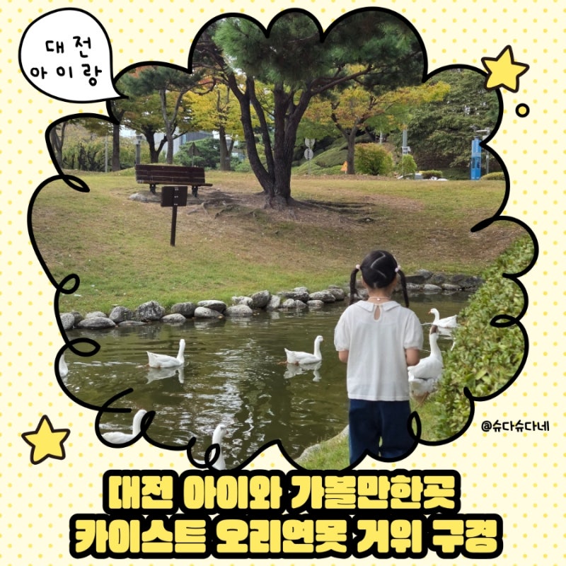 대전 아이와 가볼 만한 곳｜카이스트 오리연못 거위 구경 후기