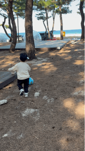 소나무 숲 사이로 바다가?! 강릉 연곡 솔향기 캠핑장 후기