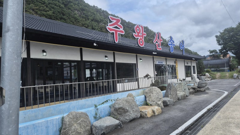 주왕산 맛집 주왕산송어에서 송어회 처음 먹고 쫀득함에 놀란 후기