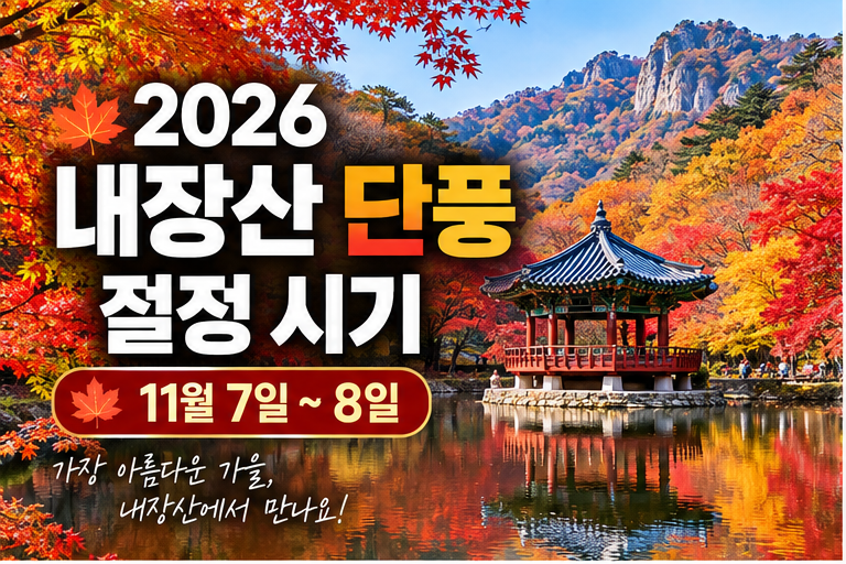 2026 내장산 단풍 절정 시기 총정리｜주차장 요금·무료 셔틀버스·단풍 명소