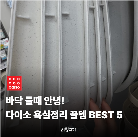 "청소했는데 왜 지저분하지?" 다이소 추천템 5가지로 살펴본 욕실 정리의 차이