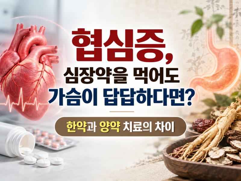 협심증, 심장약을 먹어도 가슴이 답답하다면? 한약과 양약 치료의 차이
