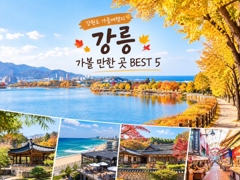 10월 가볼 만한 곳 강릉 가을여행지 추천 BEST 5